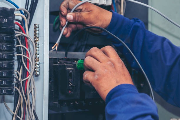 Best Electric Panel Repair  in Chesapeake, VA